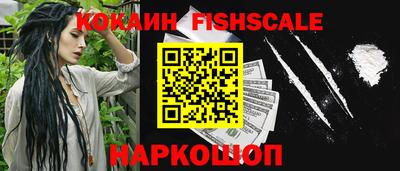 стаф Сланцы