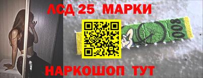 стаф Сланцы