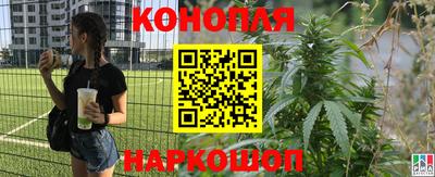 стаф Сланцы