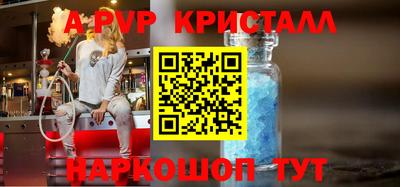 стаф Сланцы