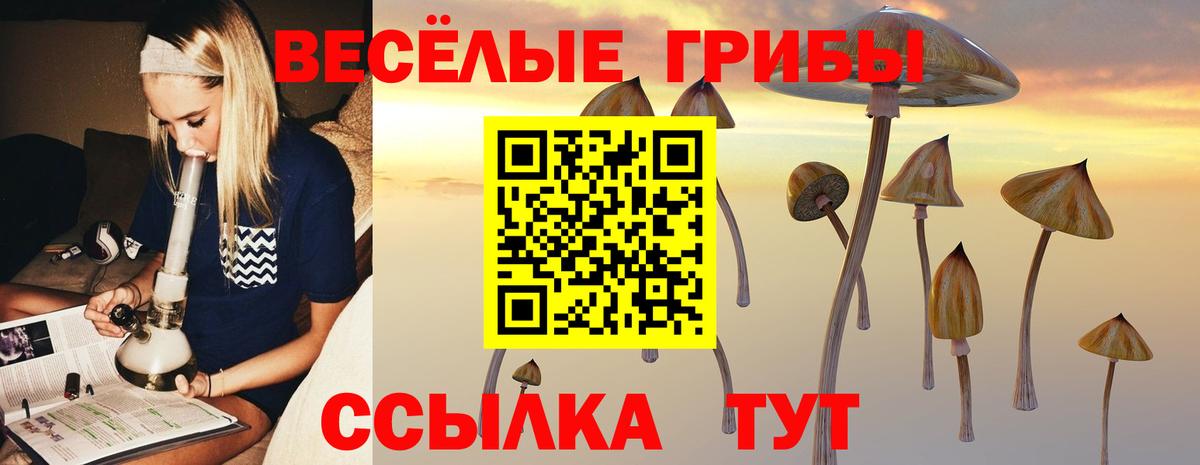 Артём  закладки  Вход с VPN  Псилоцибиновые грибы Magic Shrooms 